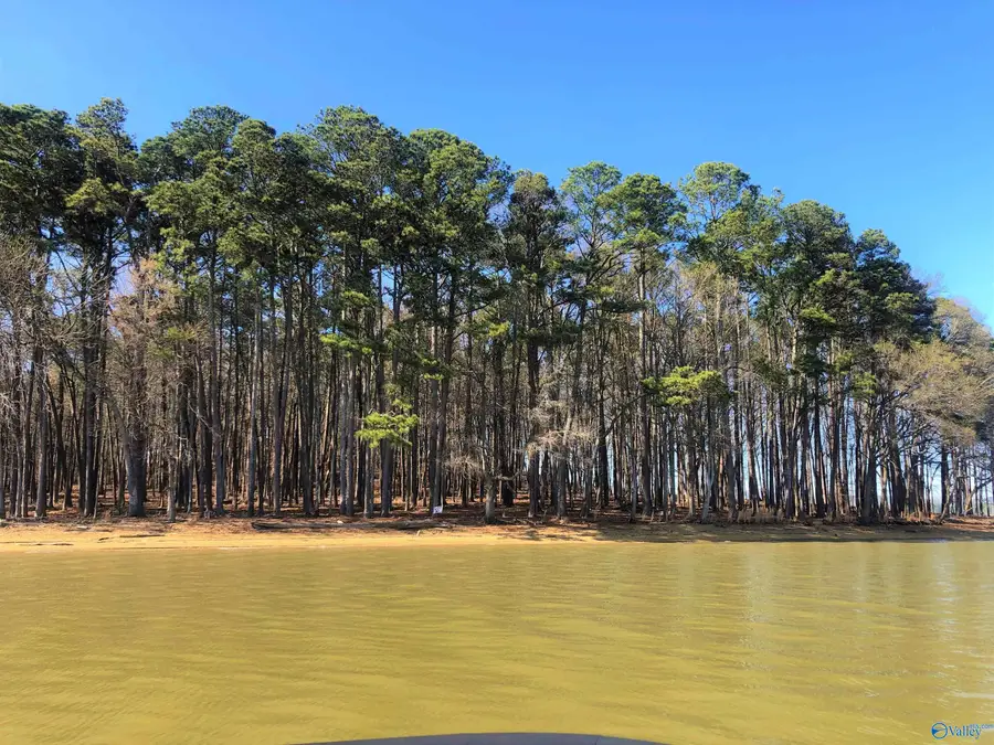 Lot 6 Little River Landing, Cedar Bluff, AL 35959 - #2