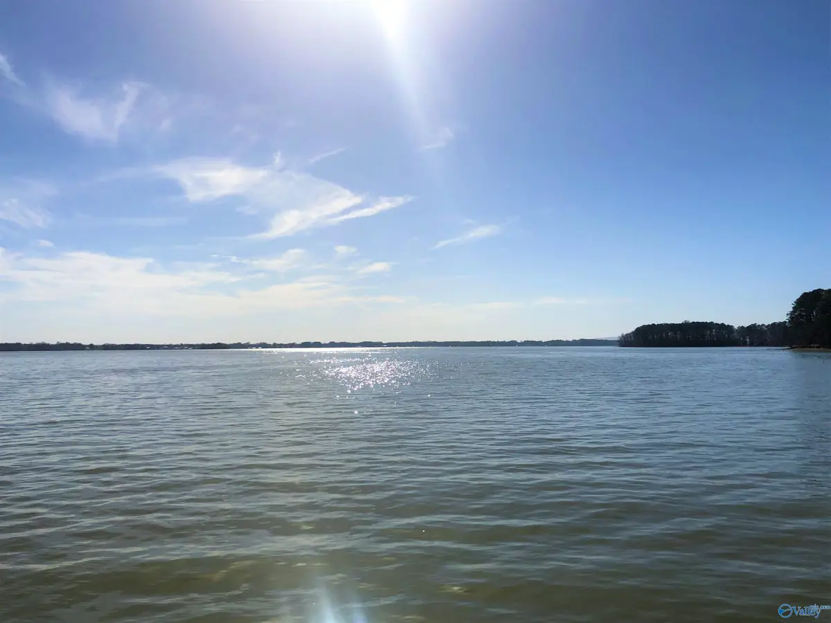 Lot 8 Little River Landing, Cedar Bluff, AL 35959 - #1