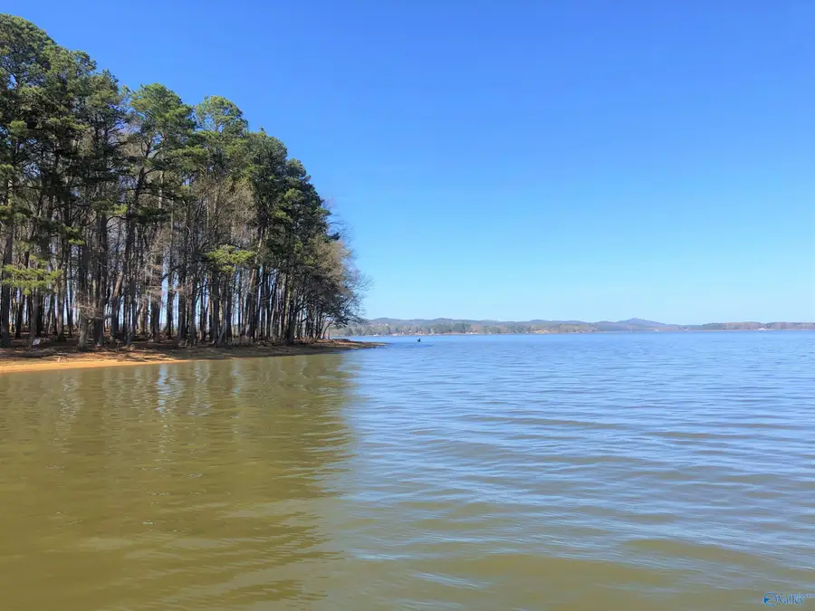 Lot 8 Little River Landing, Cedar Bluff, AL 35959 - #2