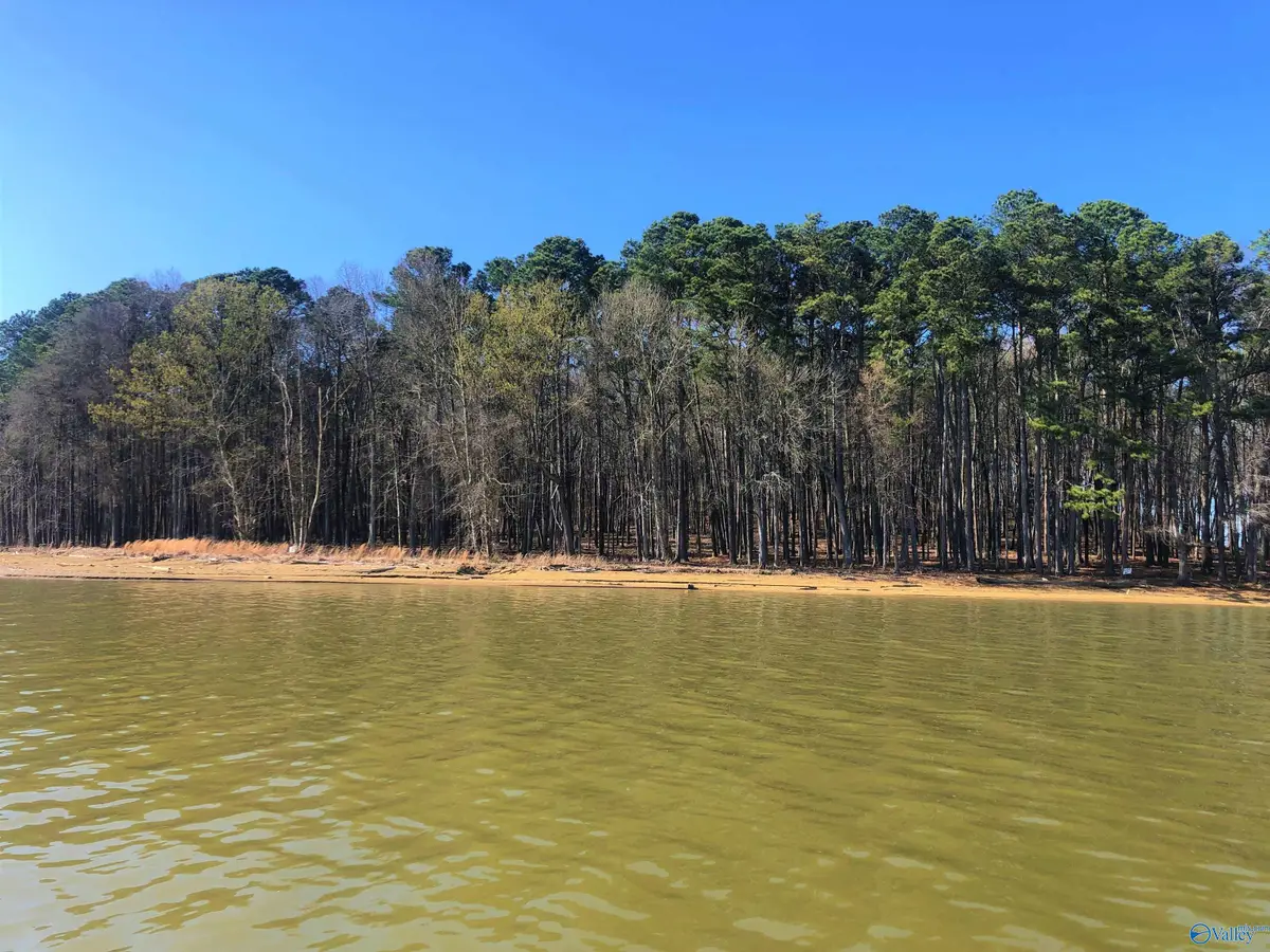 Lot 13 Little River Landing, Cedar Bluff, AL 35959 - #1