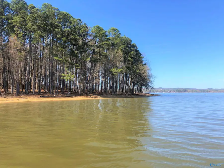 Lot 13 Little River Landing, Cedar Bluff, AL 35959 - #2
