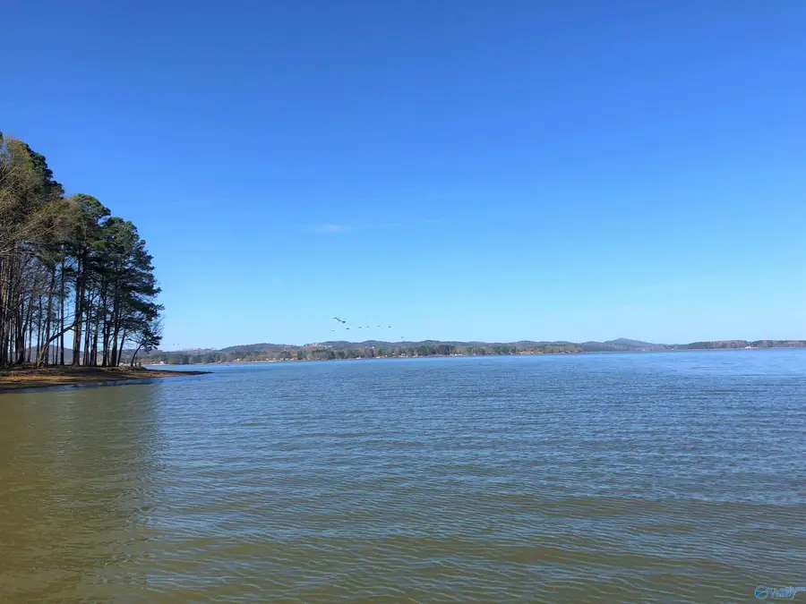 Lot 13 Little River Landing, Cedar Bluff, AL 35959 - #3