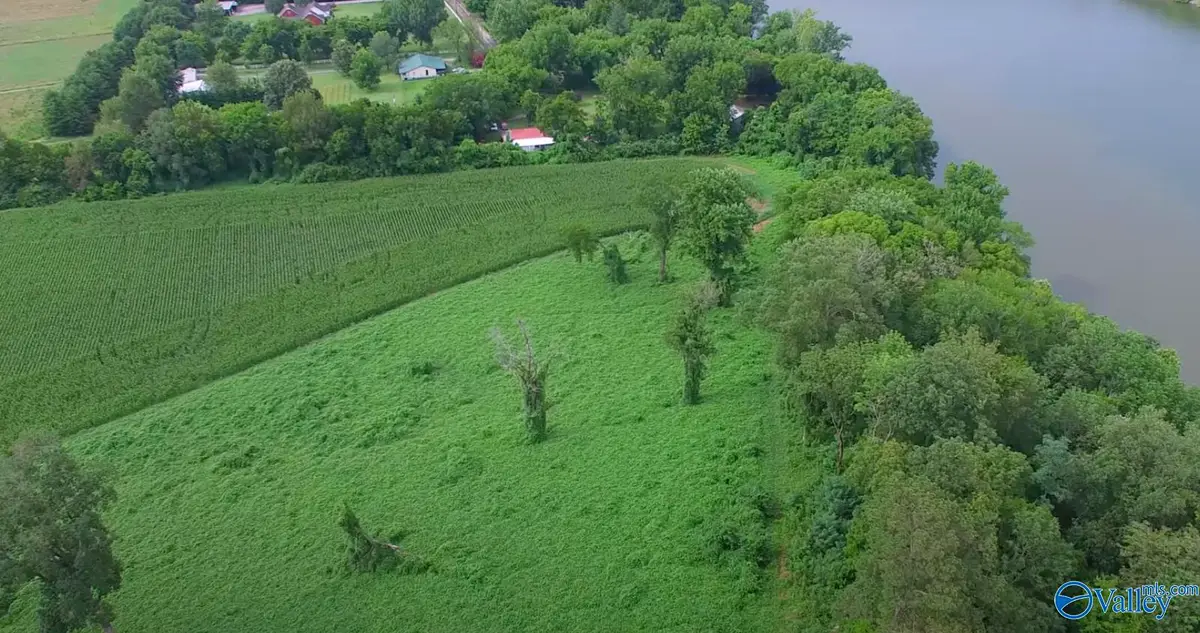 1163 Mccutcheon Loop Road, Laceys Spring, AL 35754 - Image #1