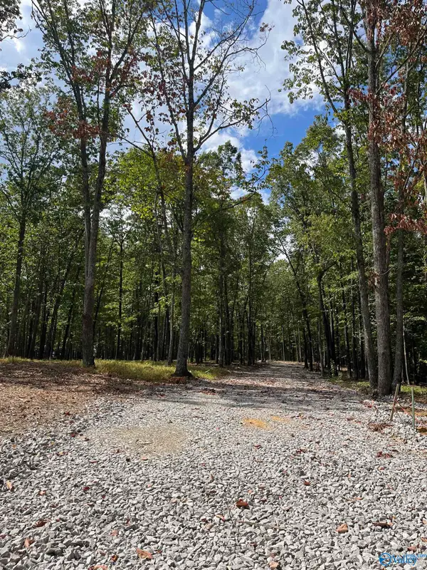 15063 Wade Point Road Se, Huntsville, AL 35803