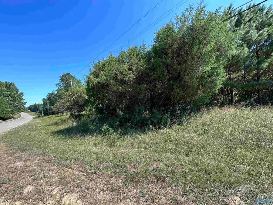 3.2 ACRES Hwy 35, Hamilton, AL 35570 - Image #2