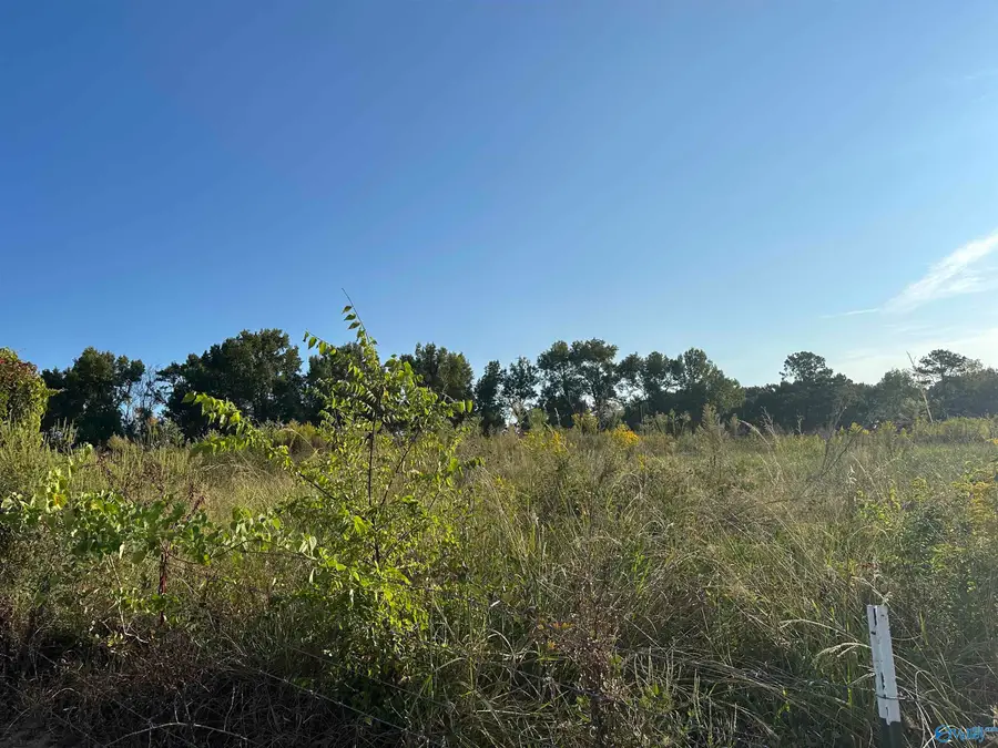 2 acres +/- Highway 231, Laceys Spring, AL 35754 - Image #3