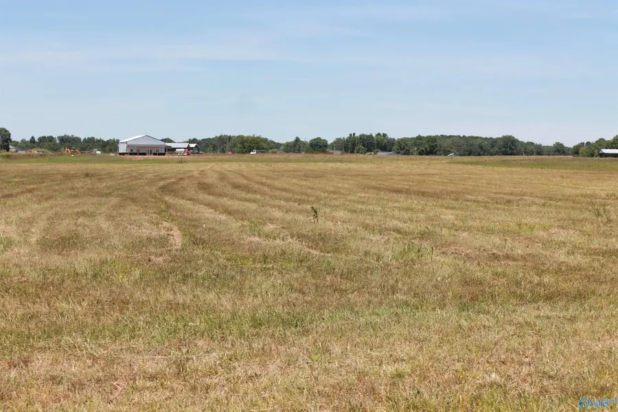 Tract 6 W Highway 55 W, Falkville, AL 35622 - Image #2