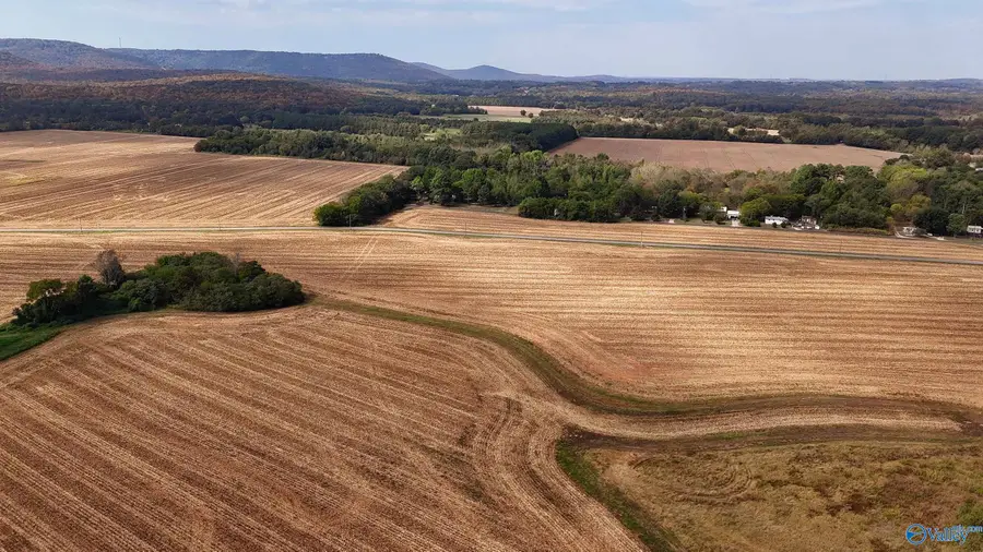 20 Mccutcheon Loop Road, Laceys Spring, AL 35754 - Image #3