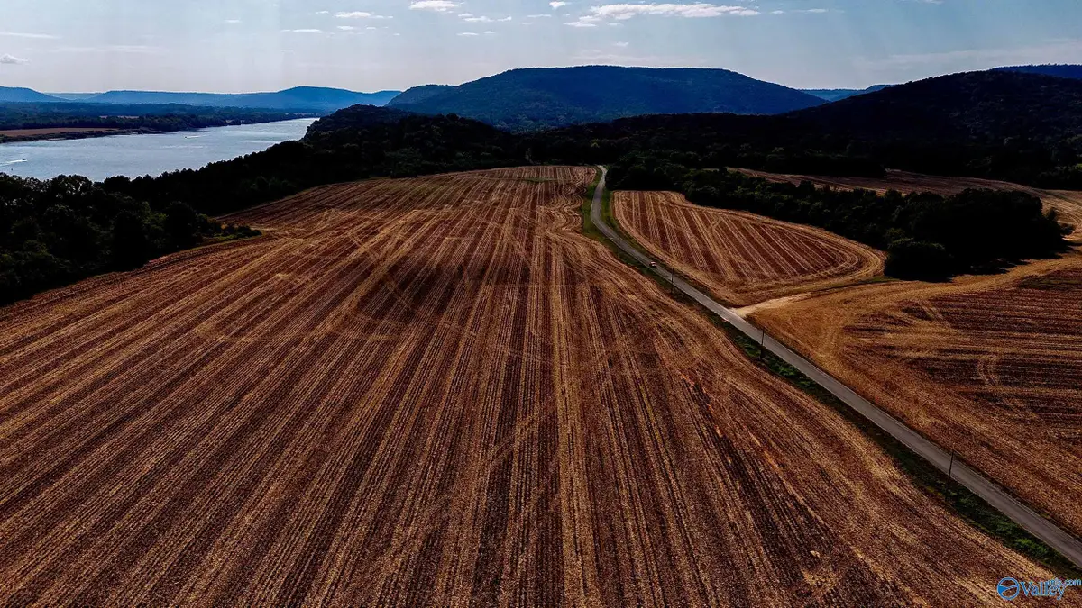 734 Mccutcheon Loop Road, Laceys Spring, AL 35754 - Image #1