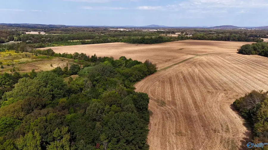 734 Mccutcheon Loop Road, Laceys Spring, AL 35754 - Image #2