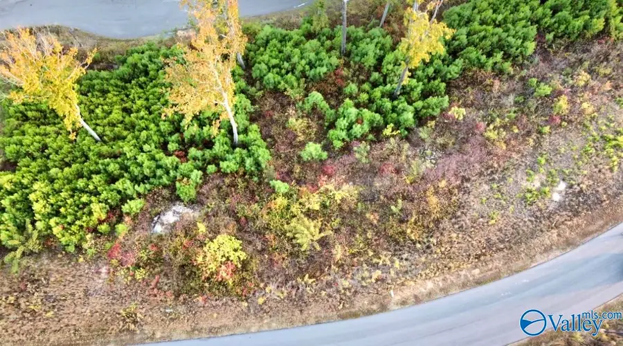 46 Treetop Drive, Guntersville, AL 35976 - Image #2