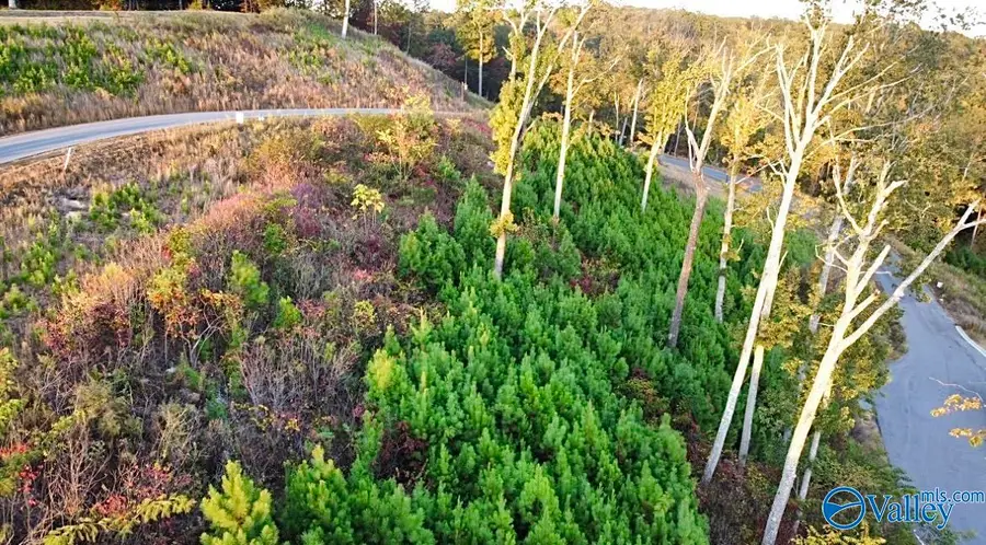 46 Treetop Drive, Guntersville, AL 35976 - Image #3