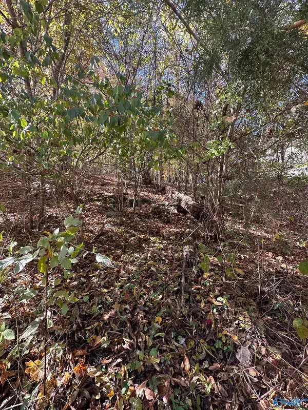 4620 Legacy Preserve Way, Brownsboro, AL 35741