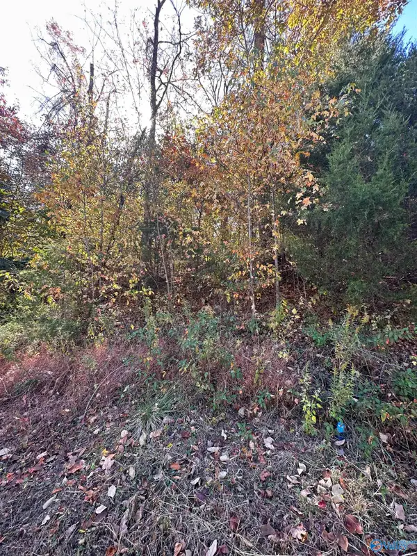 4604 Legacy Preserve Way Se, Brownsboro, AL 35741