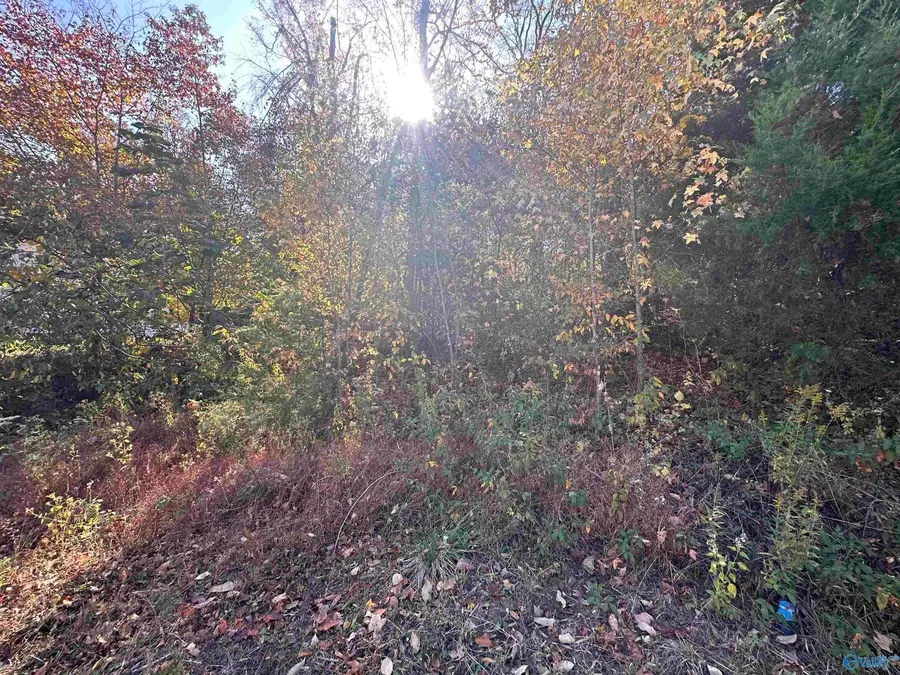 4604 Legacy Preserve Way Se, Brownsboro, AL 35741 - Image #3