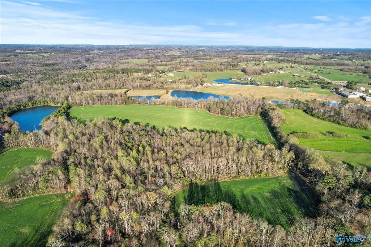 30 Acres County Road 1908, Albertville, AL 35951 - Image #1