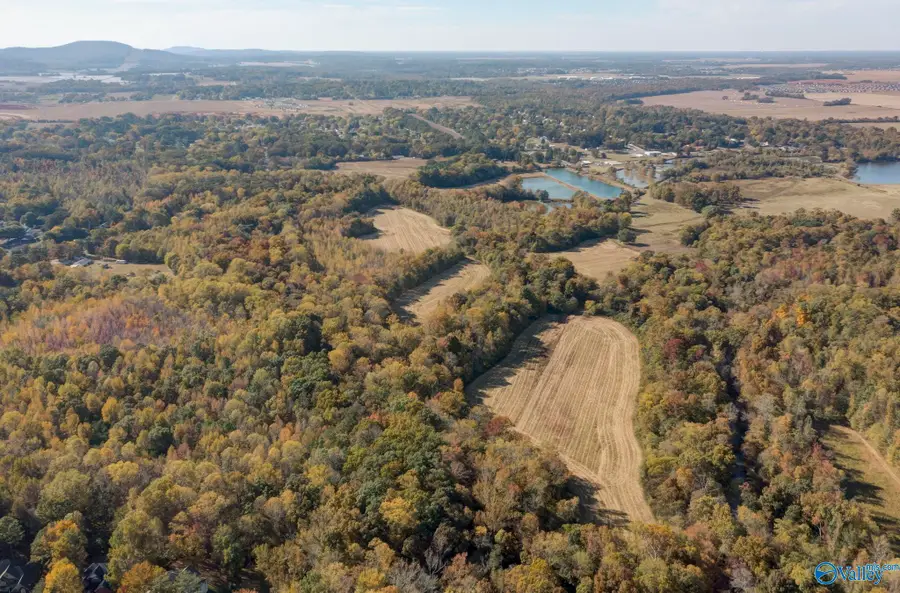 185,197,0 Little Lones Road, Huntsville, AL 35811 - Image #2