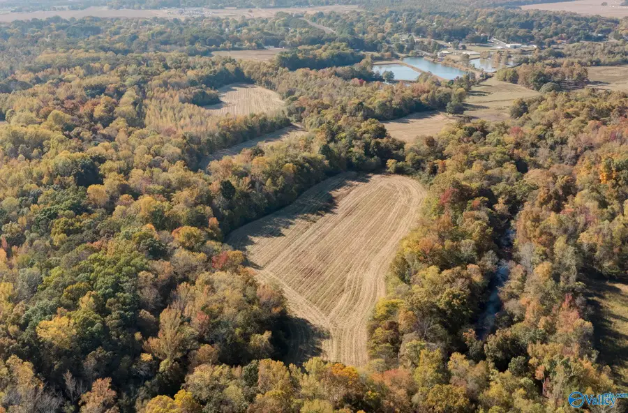 185,197,0 Little Lones Road, Huntsville, AL 35811 - Image #3