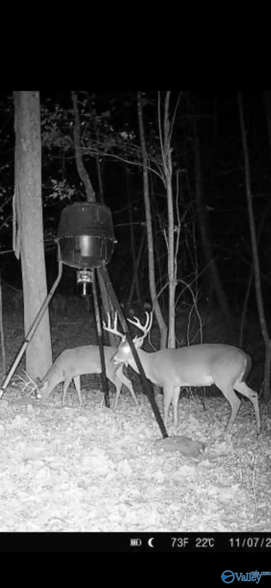 1011 A County Road 303, Princeton, AL 35766 - Image #2