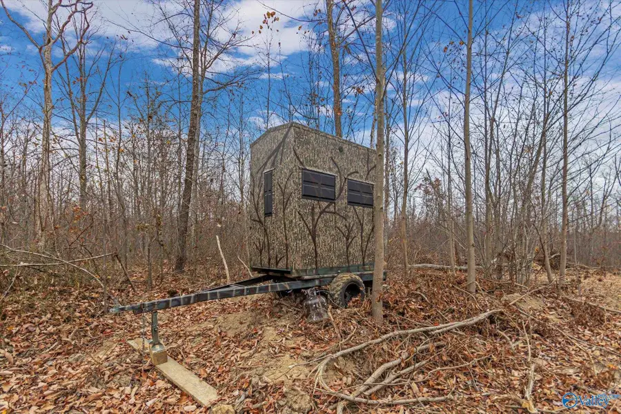 1011 A County Road 303, Princeton, AL 35766 - Image #3