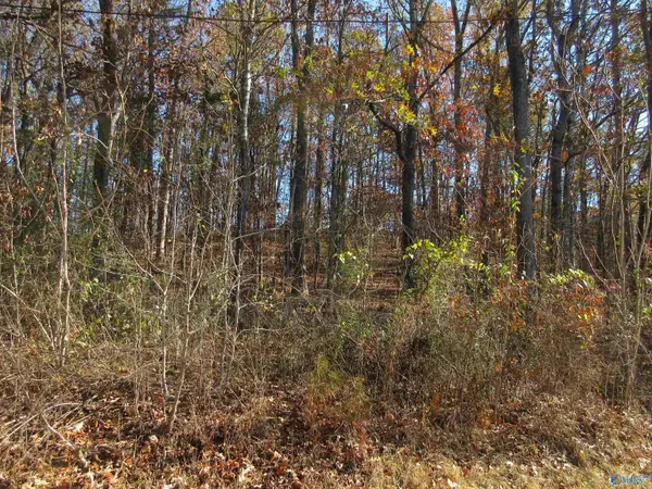 27 Sumner Drive, Scottsboro, AL 35769