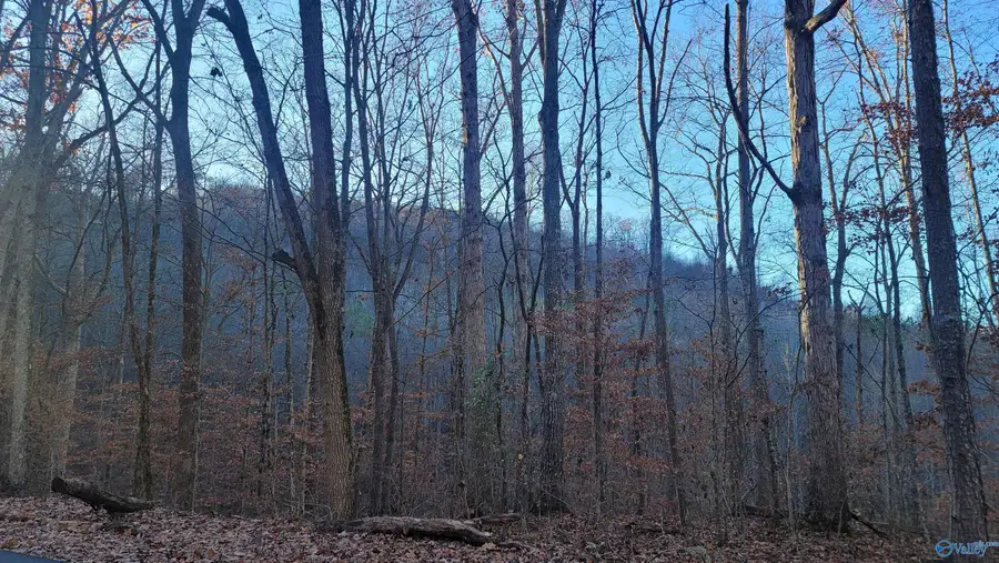 80 acres Rock Creek Road, Eva, AL 35621 - Image #3