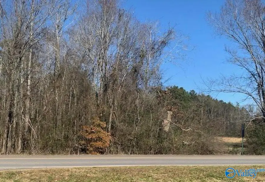 4645 Main Drive, New Hope, AL 35760 - Image #3