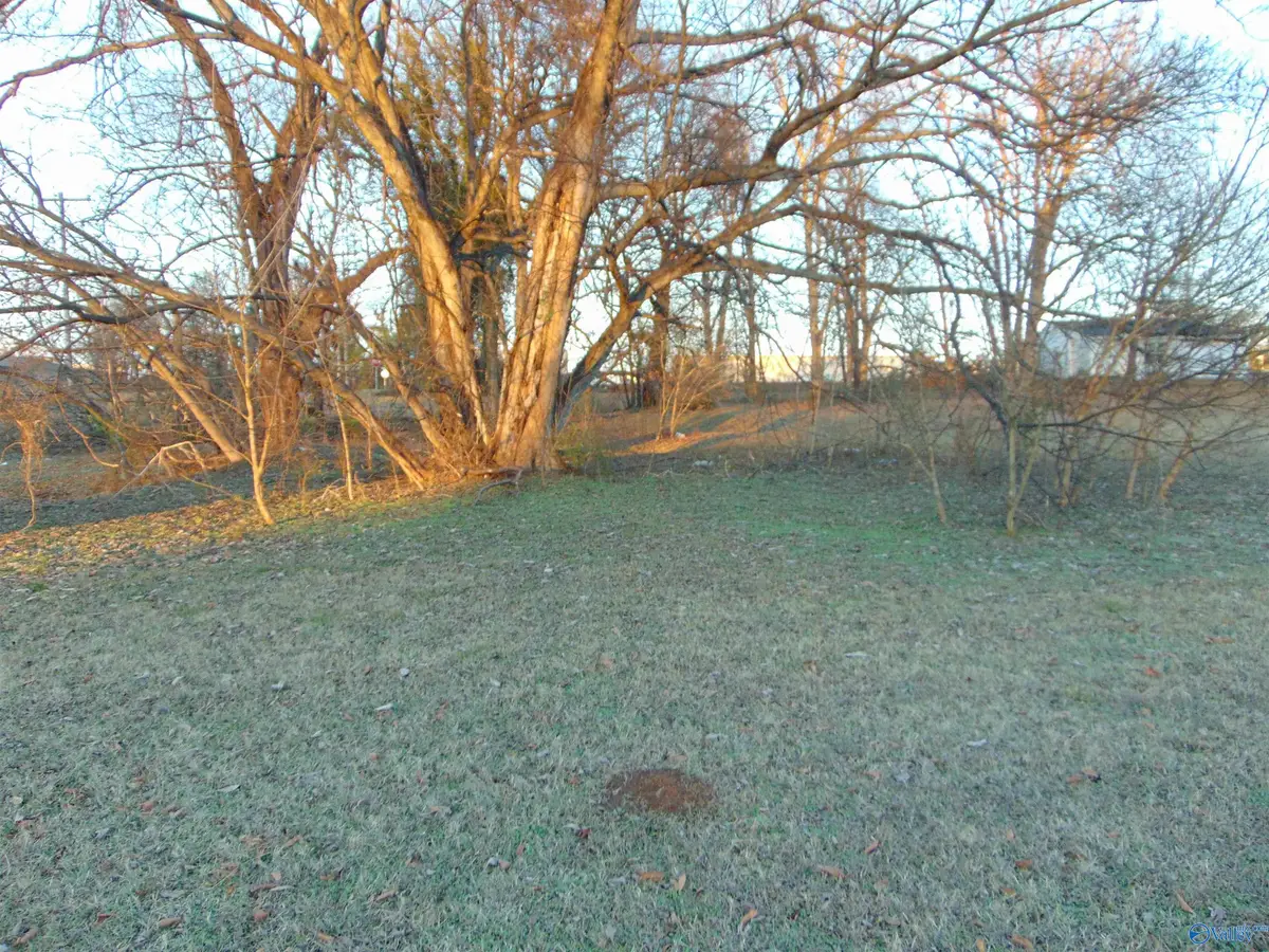 118 Church Street, Decatur, AL 35601 - Image #1