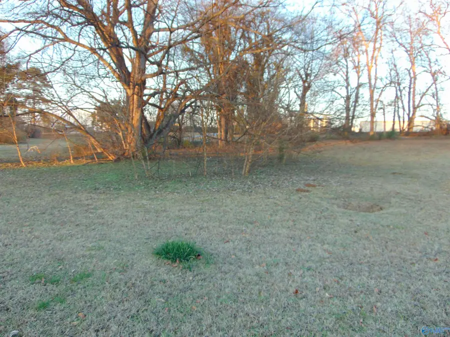 118 Church Street, Decatur, AL 35601 - Image #3