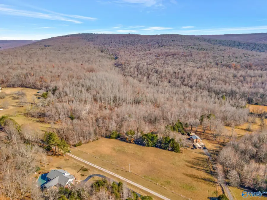 45 acres Marvaline Drive, New Market, AL 35761 - Image #3