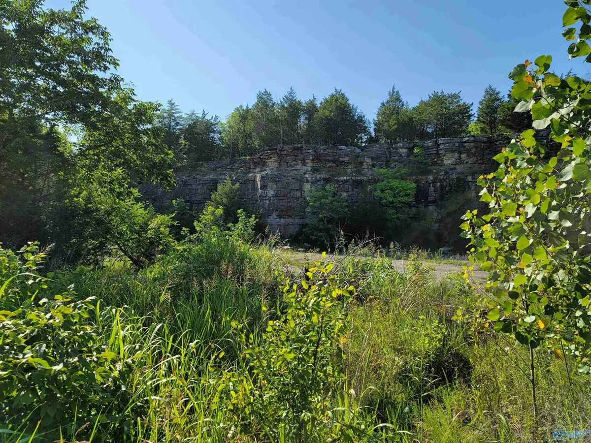 1 Union Hill Road, Somerville, AL 35670 - Image #1