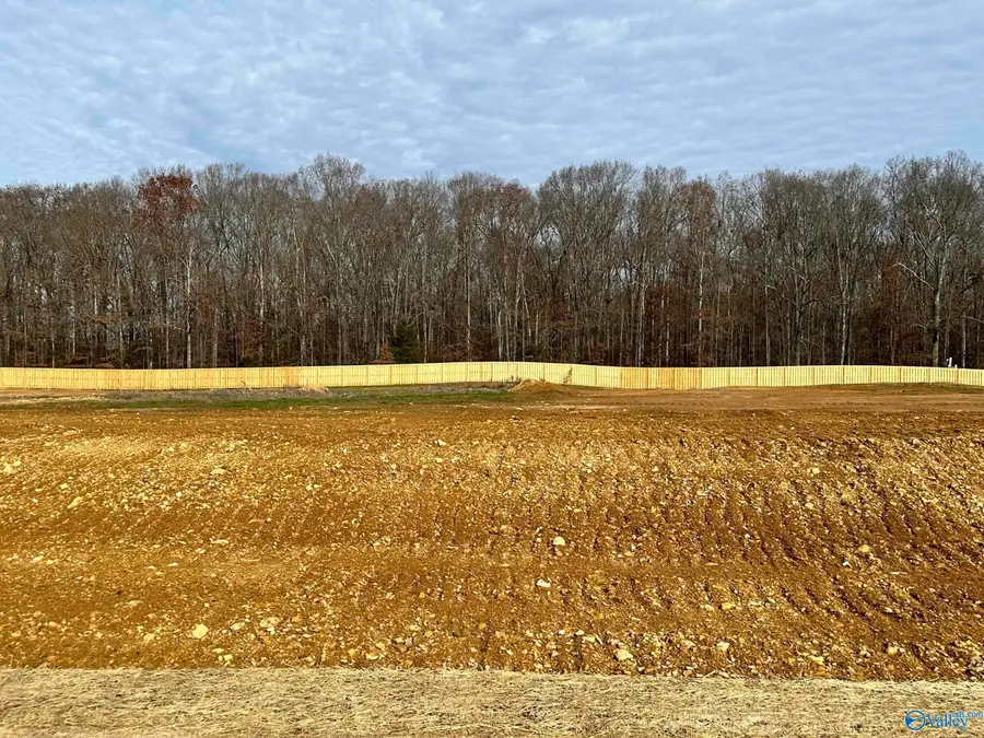 Lot 3 Bear Bryant Drive, Athens, AL 35613 - Image #2