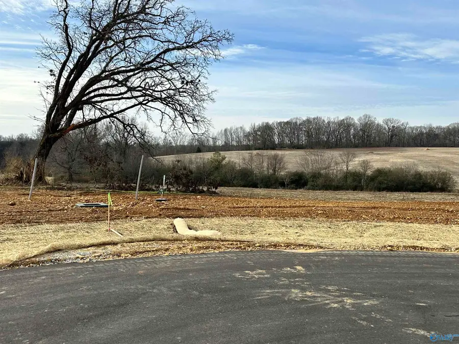 Lot 5 Bear Bryant Drive, Athens, AL 35613 - #2