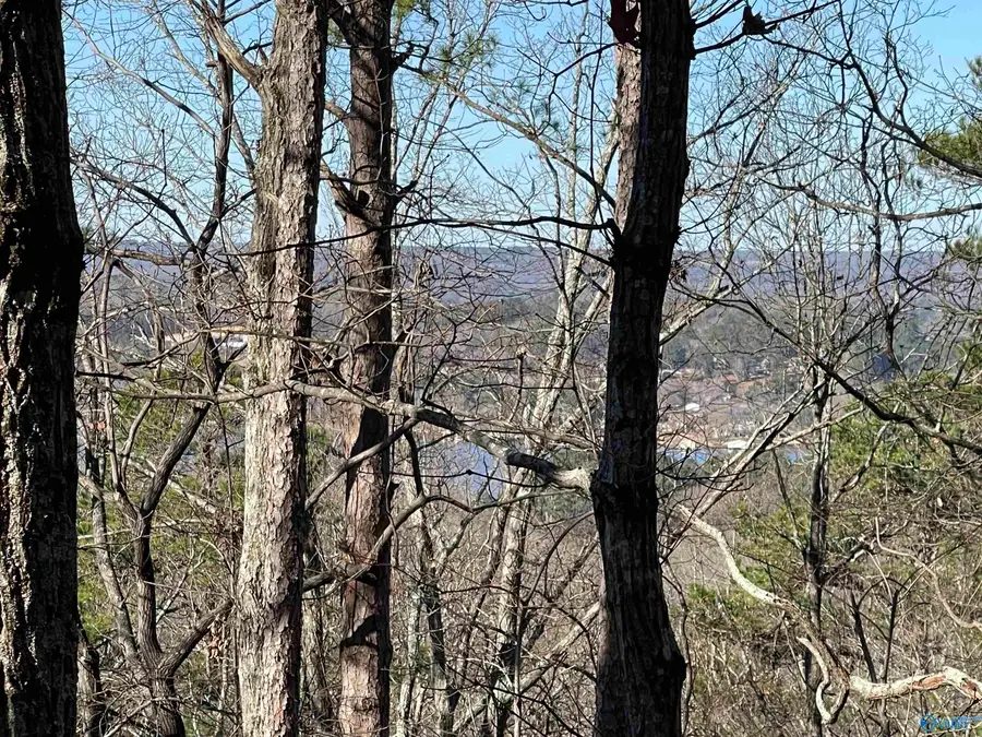 14 AC Jackson Trail, Guntersville, AL 35976 - Image #3