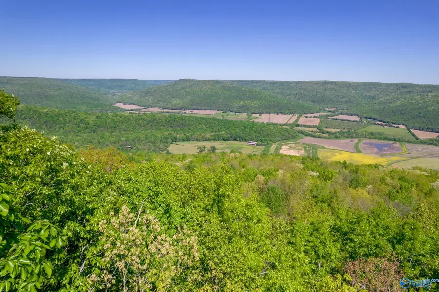 4400 County Road 39, Fackler, AL 35752 - Image #3