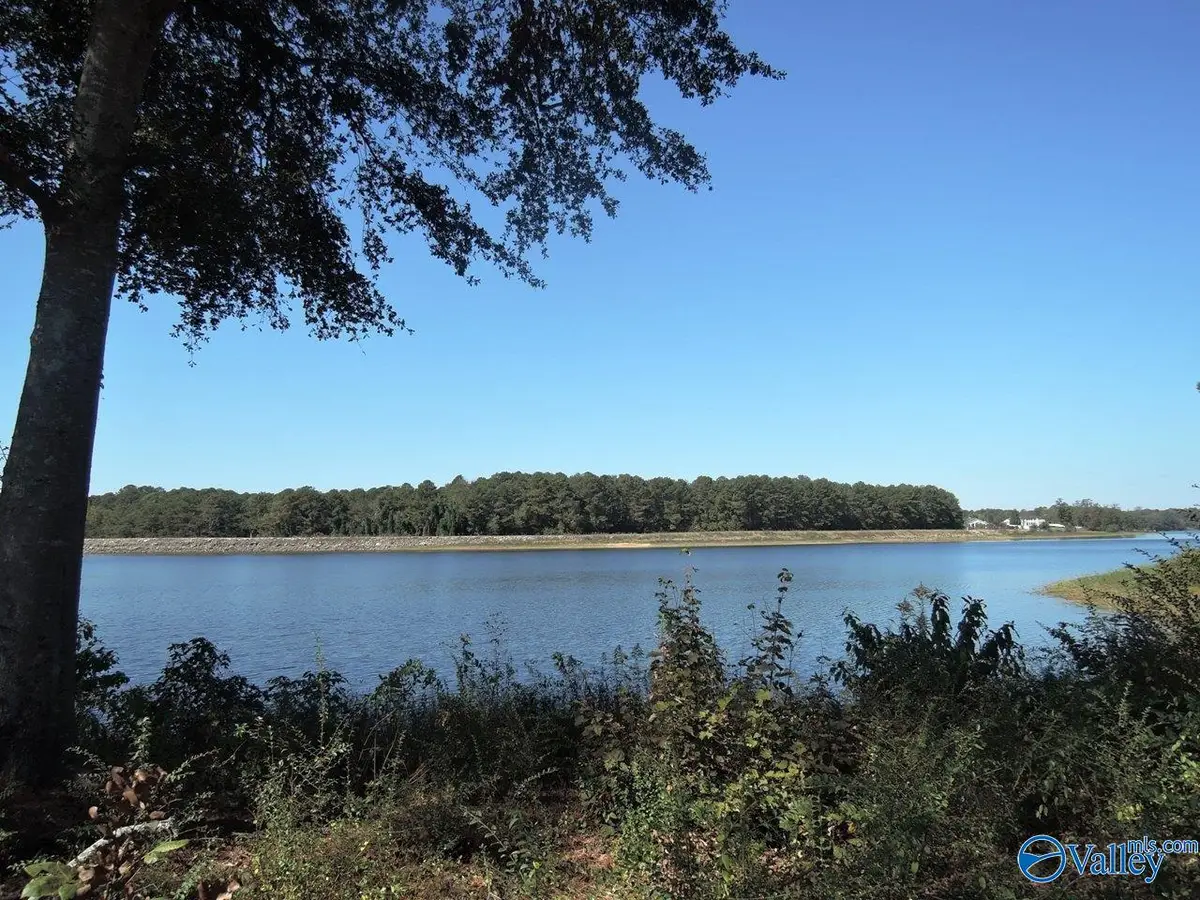 Lot 31 County Road 1462, Cullman, AL 35055 - Image #1