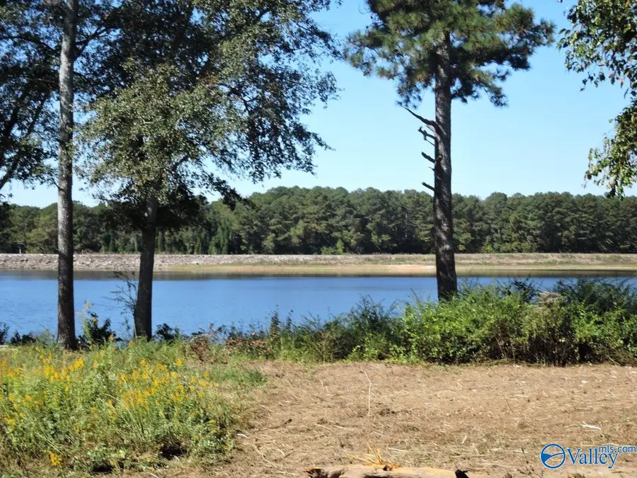 Lot 31 County Road 1462, Cullman, AL 35055 - Image #3