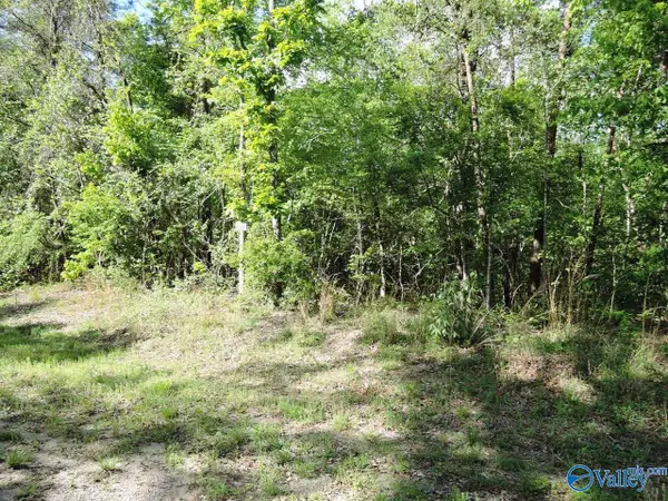 61 Harbor Loop, Jasper, AL 35504