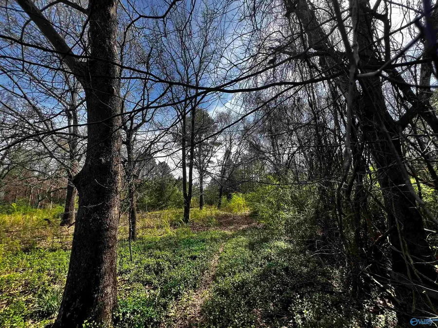 22 Acres County Road 150, Courtland, AL 35618 - Image #3