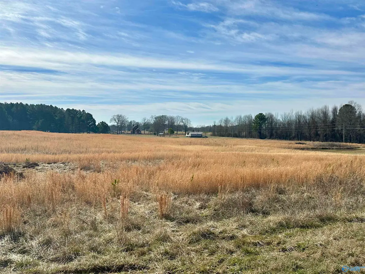 12 Vivians Road, Anderson, AL 35610 - Image #1