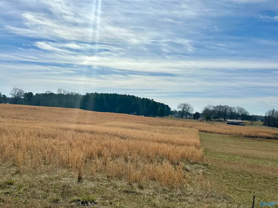 12 Vivians Road, Anderson, AL 35610 - Image #2