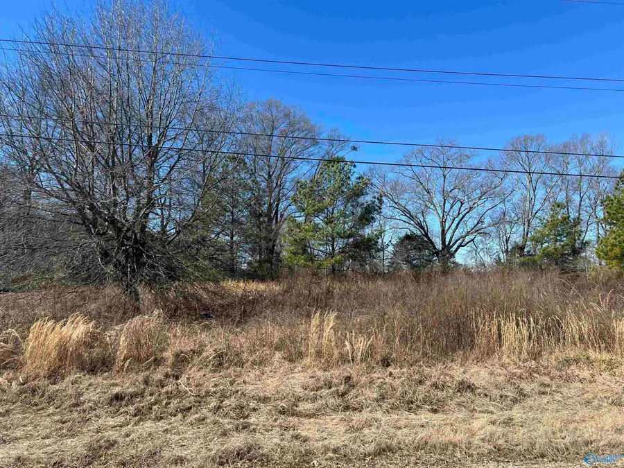 Lot 22 County Road 487, Moulton, AL 35650 - Image #3