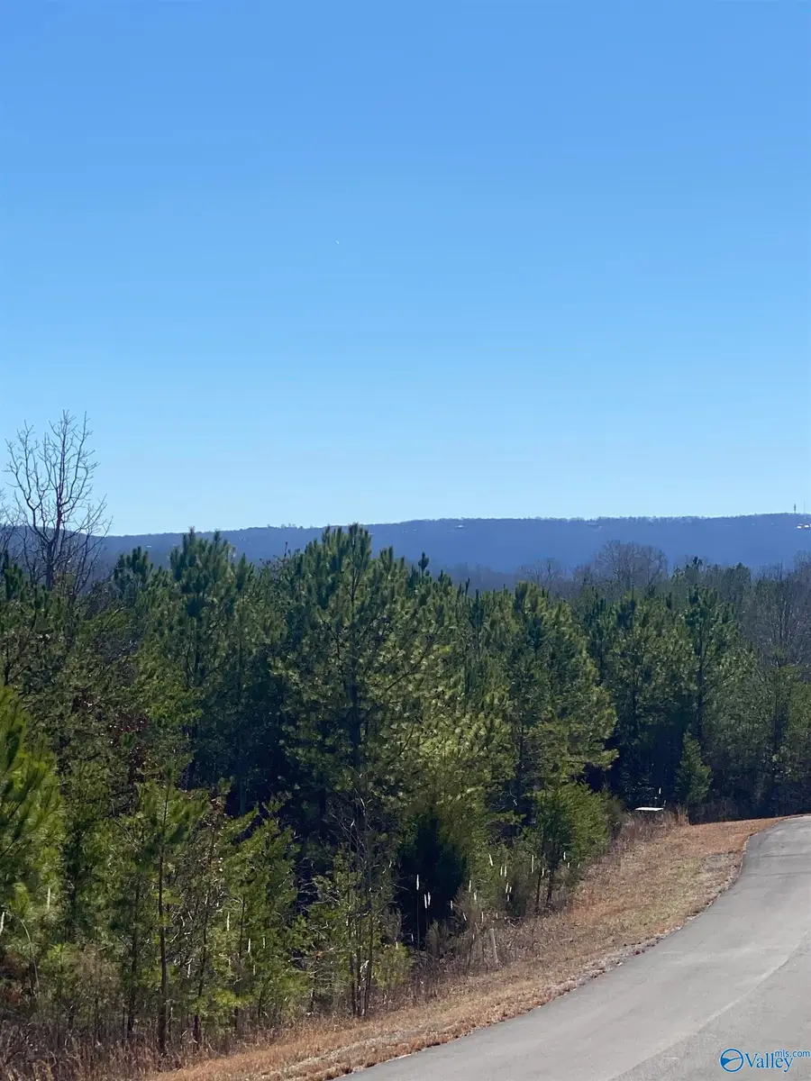 Lot 4 1st Add Alyson Avenue, Fort Payne, AL 35968 - Image #3