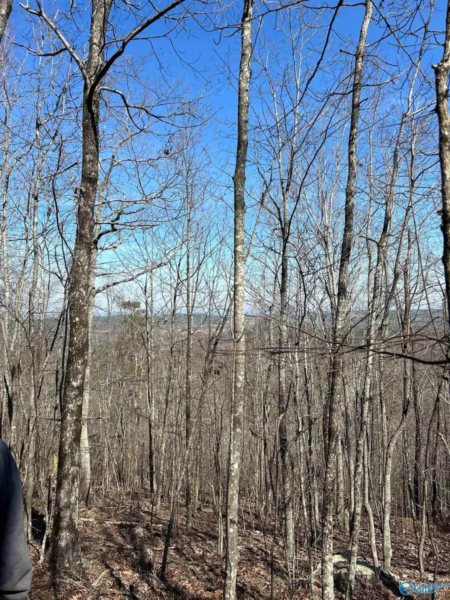 40 County Road 793, Centre, AL 35960 - Image #2