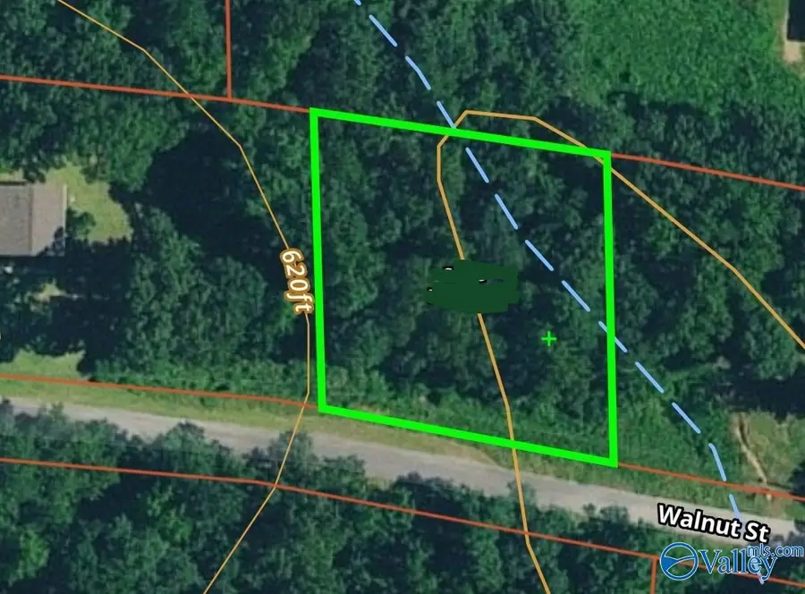 127 Walnut Street, Hamilton, AL 35570 - Image #3