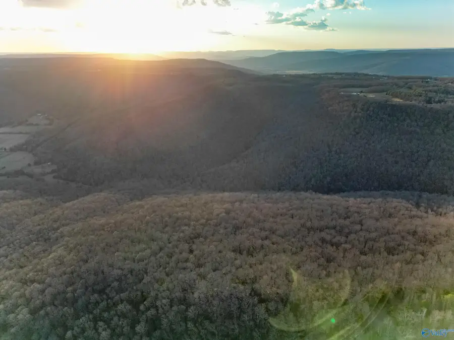 1150 Pleasant Grove Road, Woodville, AL 35776 - Image #2