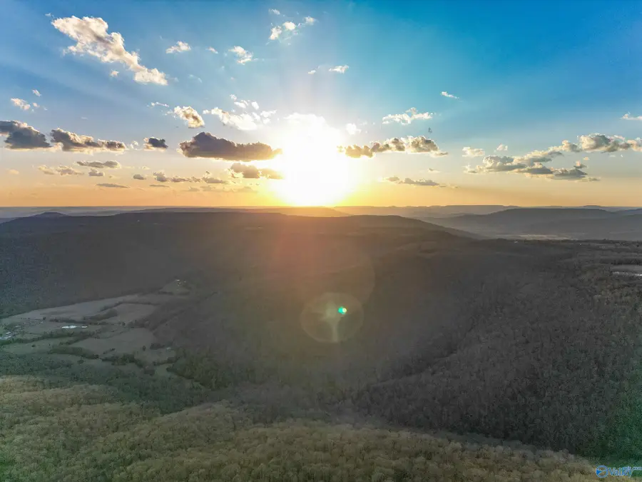 1150 Pleasant Grove Road, Woodville, AL 35776 - Image #3