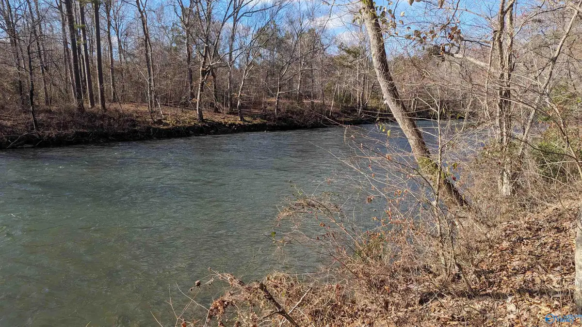 Lot 11 County Road 137, Cedar Bluff, AL 35959 - Image #1