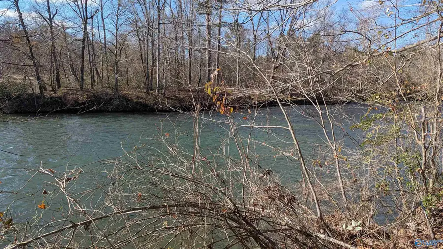 Lot 11 County Road 137, Cedar Bluff, AL 35959 - Image #2
