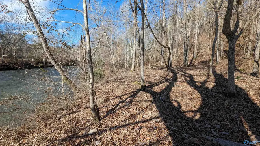 Lot 11 County Road 137, Cedar Bluff, AL 35959 - Image #3